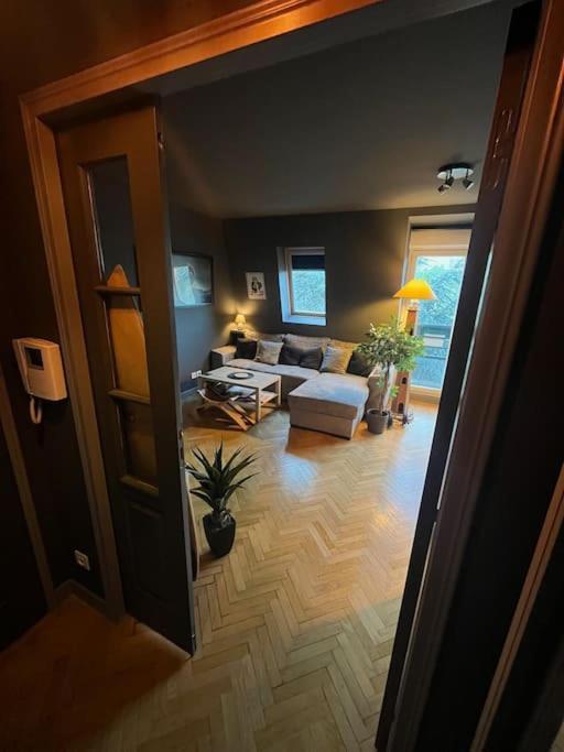 Cosy Le Chesnay Appartement *